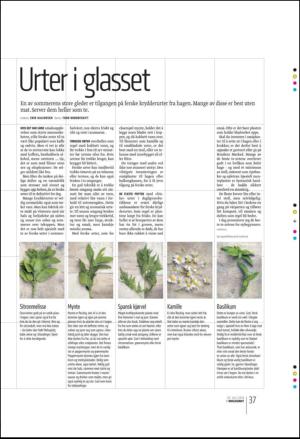 bergenstidende_btmagasinet-20100710_000_00_00_037.pdf