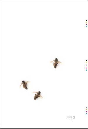 bergenstidende_btmagasinet-20100807_000_00_00_023.pdf