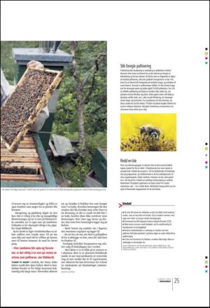 bergenstidende_btmagasinet-20100807_000_00_00_025.pdf