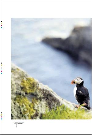 bergenstidende_btmagasinet-20100828_000_00_00_014.pdf