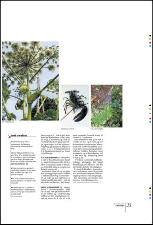 bergenstidende_btmagasinet-20100828_000_00_00_023.pdf