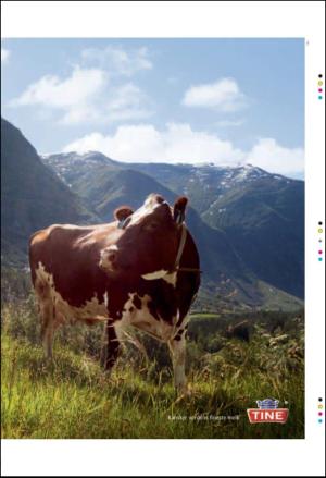 bergenstidende_btmagasinet-20101002_000_00_00_023.pdf