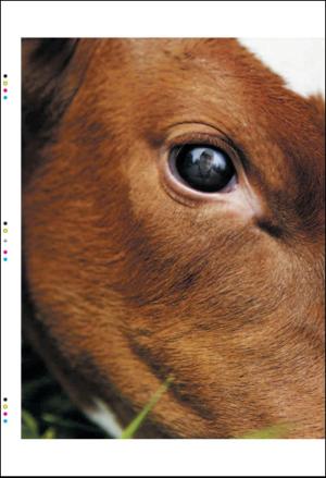 bergenstidende_btmagasinet-20101009_000_00_00_002.pdf