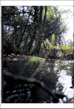 bergenstidende_btmagasinet-20101009_000_00_00_012.pdf