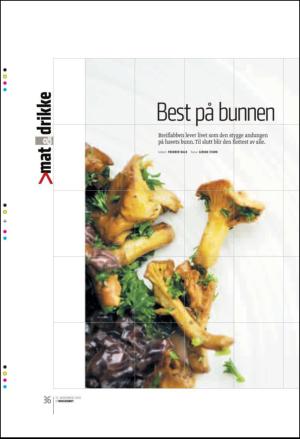 bergenstidende_btmagasinet-20101113_000_00_00_036.pdf