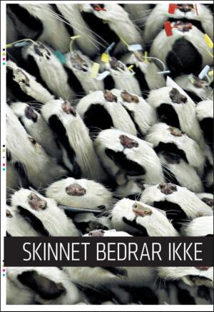 bergenstidende_btmagasinet-20110122_000_00_00_020.pdf