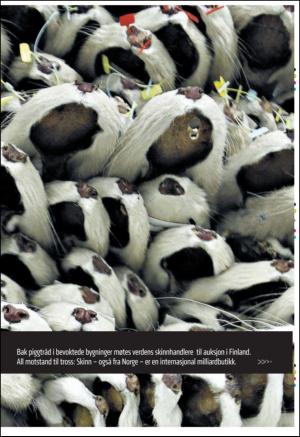 bergenstidende_btmagasinet-20110122_000_00_00_021.pdf