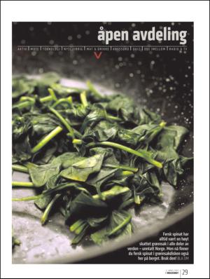 bergenstidende_btmagasinet-20110402_000_00_00_029.pdf