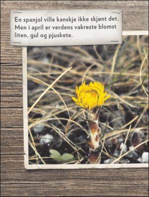 bergenstidende_btmagasinet-20110430_000_00_00_030.pdf