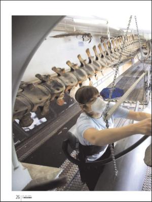 bergenstidende_btmagasinet-20110723_000_00_00_026.pdf