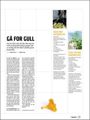 bergenstidende_btmagasinet-20110806_000_00_00_033.pdf