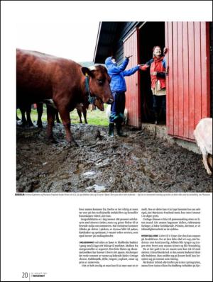 bergenstidende_btmagasinet-20110813_000_00_00_020.pdf