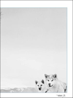 bergenstidende_btmagasinet-20111015_000_00_00_025.pdf