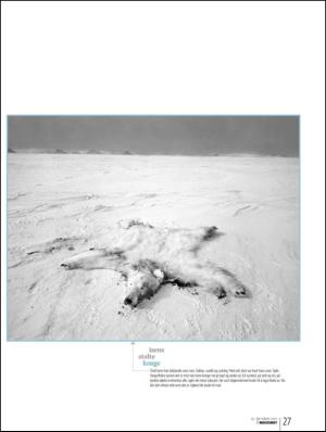 bergenstidende_btmagasinet-20111015_000_00_00_027.pdf