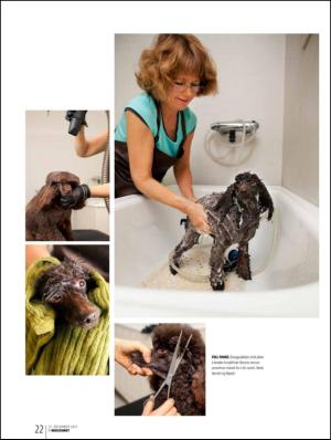 bergenstidende_btmagasinet-20111231_000_00_00_022.pdf
