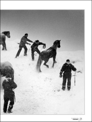 bergenstidende_btmagasinet-20120114_000_00_00_021.pdf