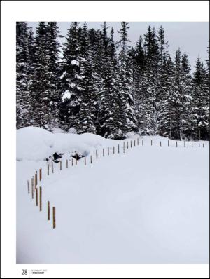 bergenstidende_btmagasinet-20120128_000_00_00_028.pdf