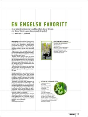 bergenstidende_btmagasinet-20120204_000_00_00_033.pdf