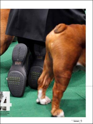 bergenstidende_btmagasinet-20120218_000_00_00_009.pdf