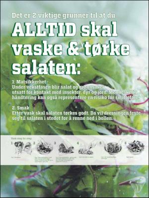 bergenstidende_btmagasinet-20120602_000_00_00_008.pdf