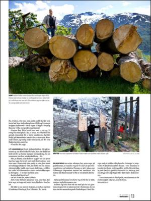 bergenstidende_btmagasinet-20120714_000_00_00_013.pdf