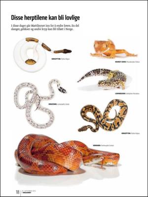 bergenstidende_btmagasinet-20120929_000_00_00_018.pdf