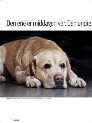bergenstidende_btmagasinet-20130309_000_00_00_008.pdf