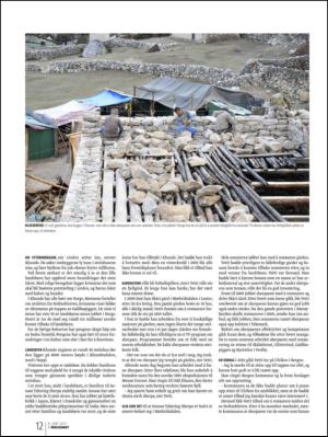 bergenstidende_btmagasinet-20130608_000_00_00_012.pdf
