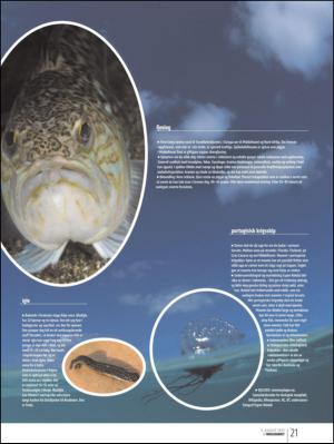 bergenstidende_btmagasinet-20130803_000_00_00_021.pdf
