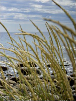 bergenstidende_btmagasinet-20130921_000_00_00_011.pdf