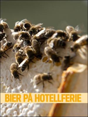 bergenstidende_btmagasinet-20130921_000_00_00_029.pdf