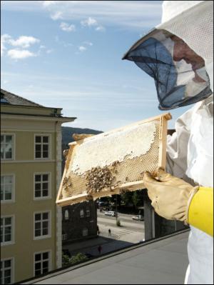 bergenstidende_btmagasinet-20130921_000_00_00_031.pdf