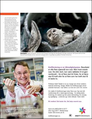 bergenstidende_btmagasinet-20140125_000_00_00_023.pdf