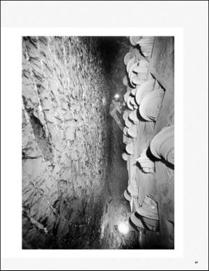 bergenstidende_btmagasinet-20140531_000_00_00_027.pdf