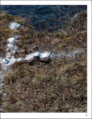 bergenstidende_btmagasinet-20140614_000_00_00_019.pdf