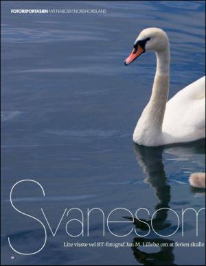bergenstidende_btmagasinet-20140816_000_00_00_020.pdf