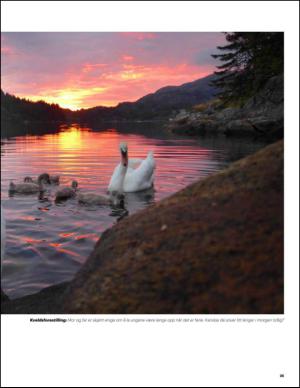 bergenstidende_btmagasinet-20140816_000_00_00_025.pdf