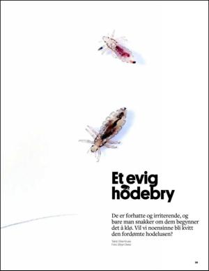 bergenstidende_btmagasinet-20140913_000_00_00_029.pdf