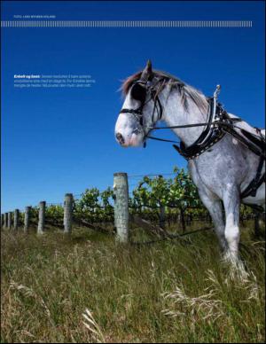 bergenstidende_btmagasinet-20150418_000_00_00_039.pdf