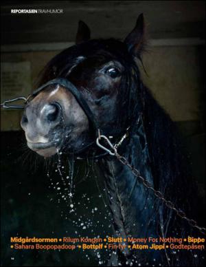 bergenstidende_btmagasinet-20150718_000_00_00_014.pdf