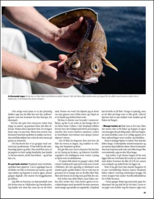 bergenstidende_btmagasinet-20150822_000_00_00_025.pdf