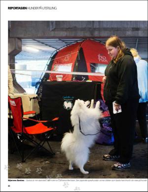 bergenstidende_btmagasinet-20151017_000_00_00_022.pdf