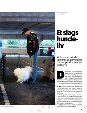 bergenstidende_btmagasinet-20151017_000_00_00_023.pdf