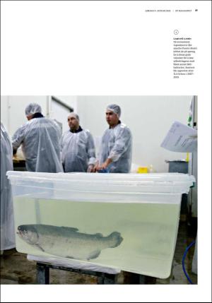 bergenstidende_btmagasinet-20160109_000_00_00_021.pdf