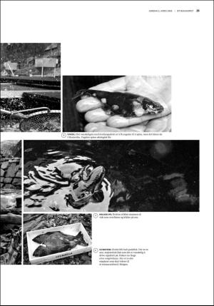 bergenstidende_btmagasinet-20160402_000_00_00_025.pdf