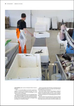 bergenstidende_btmagasinet-20160625_000_00_00_014.pdf