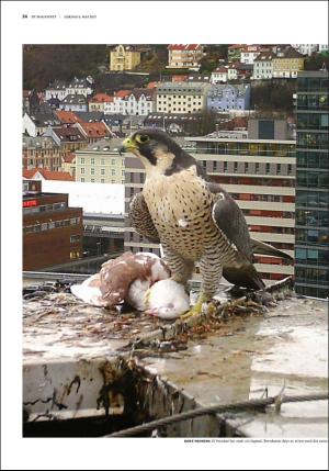 bergenstidende_btmagasinet-20170506_000_00_00_024.pdf
