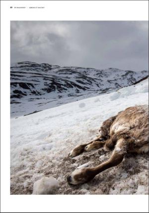 bergenstidende_btmagasinet-20170527_000_00_00_010.pdf