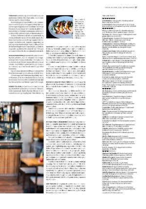 bergenstidende_btmagasinet-20210424_000_00_00_037.pdf