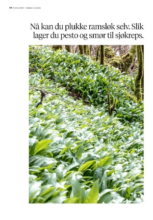 bergenstidende_btmagasinet-20210508_000_00_00_026.pdf